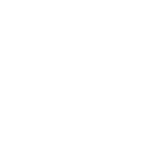 PIVOT DOOR ICON